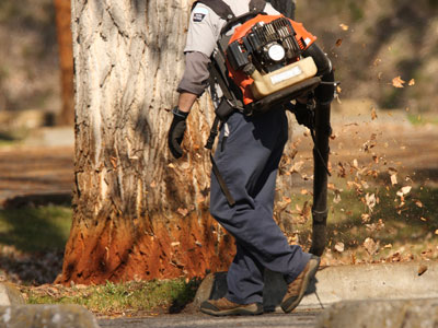 Seasonal Yard Clean Up Services