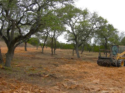 Brush and Land Clearing