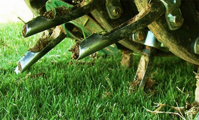 Core Aeration Benefits